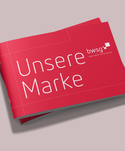 BWSG CD Manual