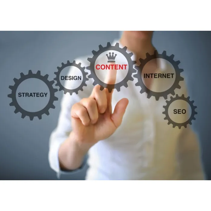 Fokus Website Content