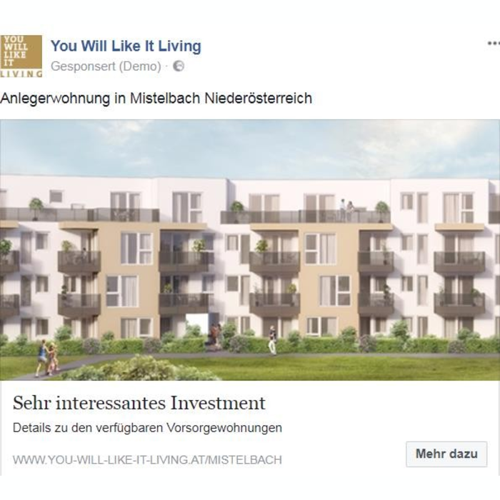 Werbeanzeige Facebook "You Will Like It Living"