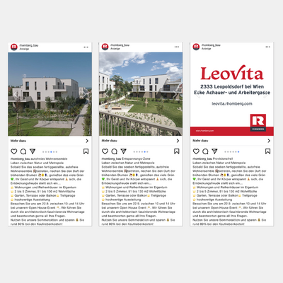 Leovita Instgram Karussell