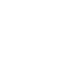 BWSG Logo