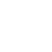 Plenus Logo