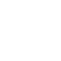 Steinringer Logo