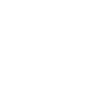 Wagner Holding Logo