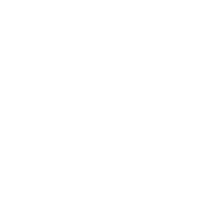 Wagner Holding Logo