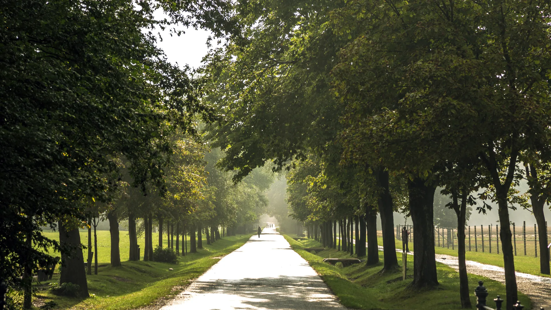 Lainzer Tiergarten
