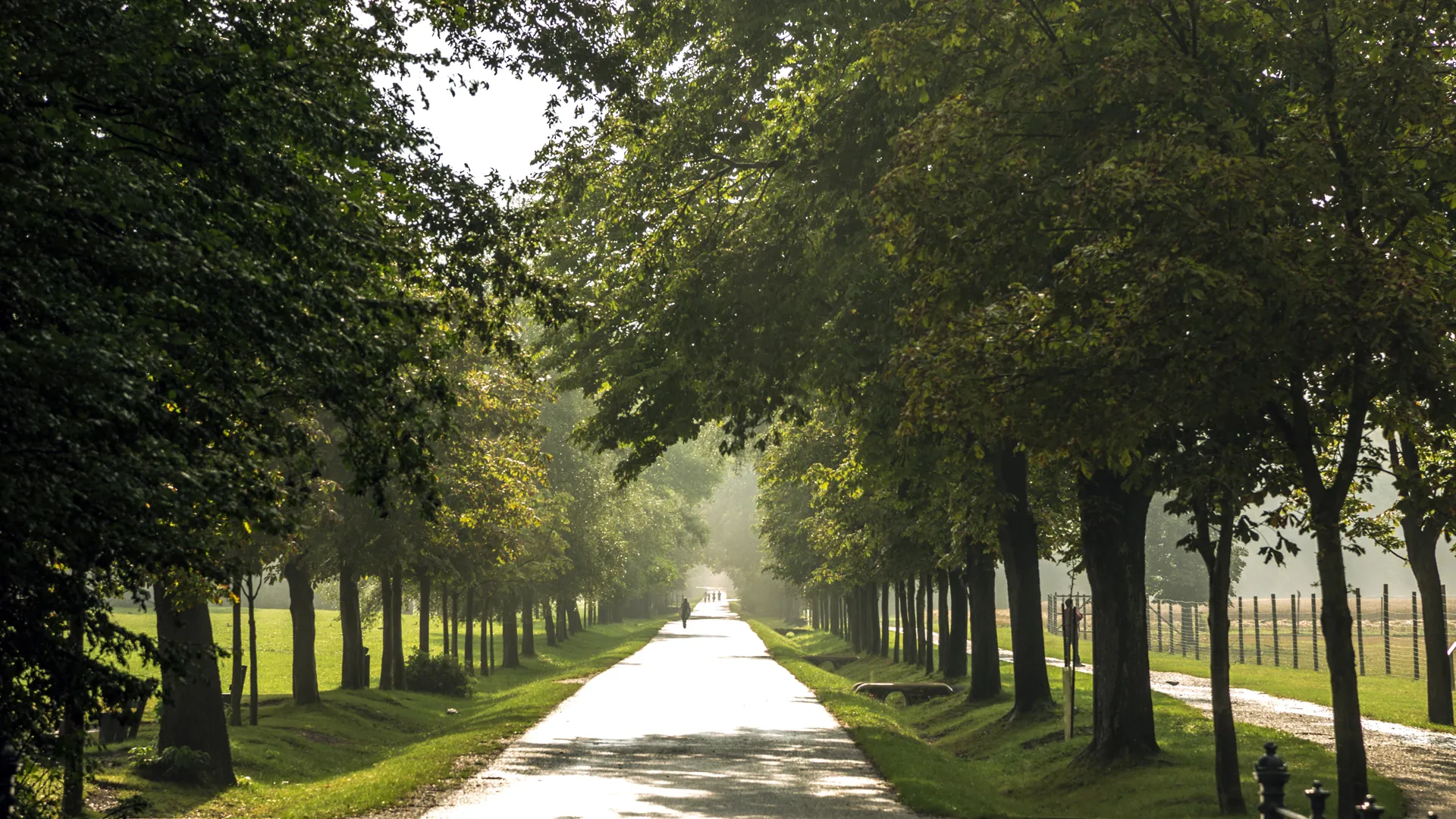 Lainzer Tiergarten
